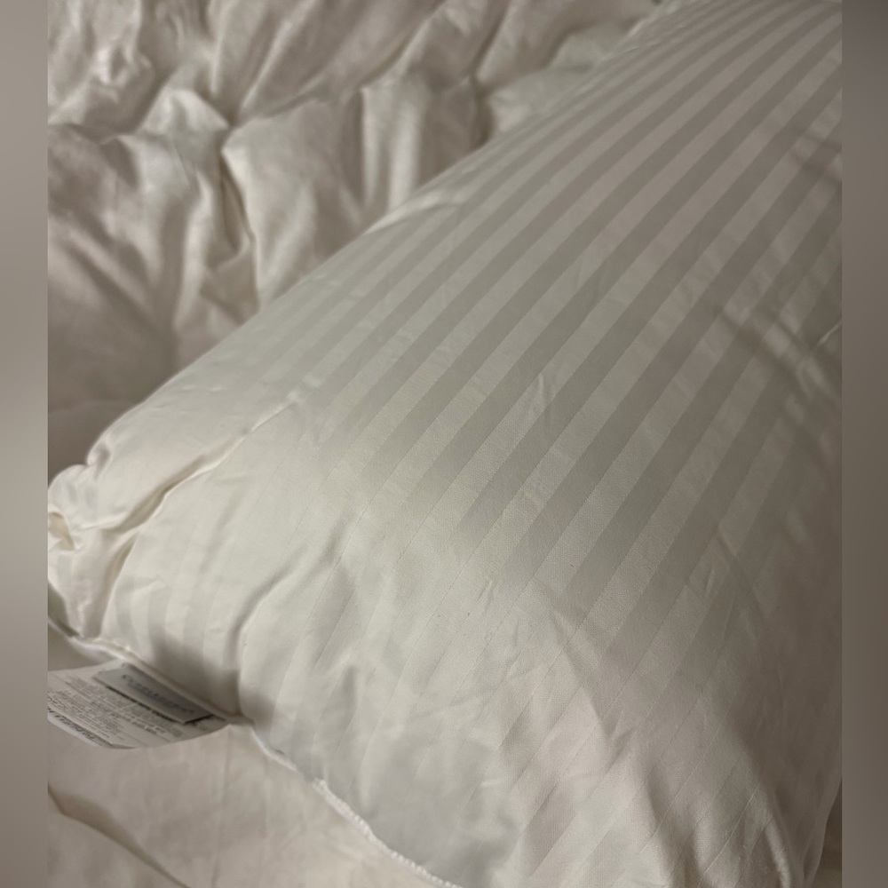 CUDDLEDOWN 800 Fill Power Goose Down Damask Stripe Pillow Medium Densi - Picture 7 of 9